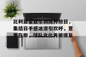 关于比利亚雷亚尔训练开放日，集结日手感冰凉引欢呼，意甲在即，球队文化再被提及的信息-九游官网